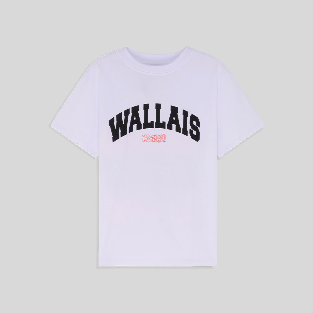 Tee-shirt College