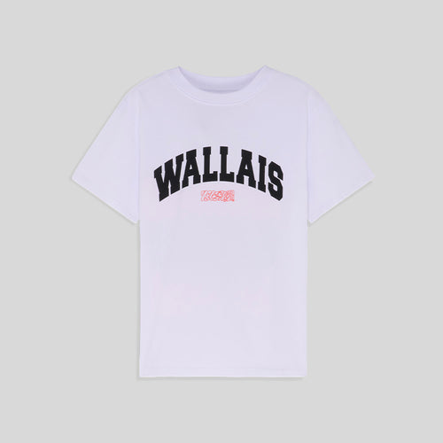 Tee-shirt College